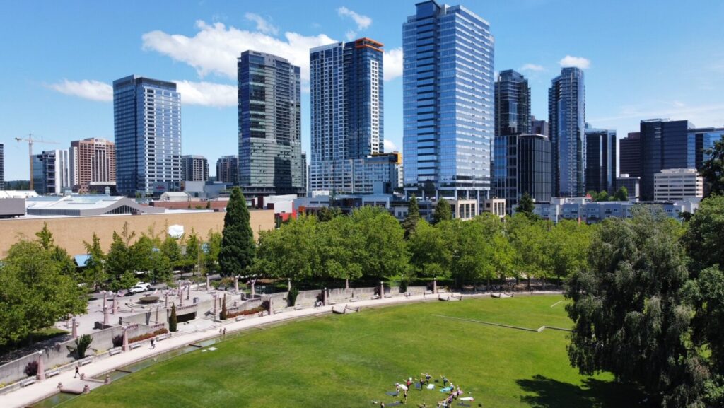 Bellevue Total Loss Appraiser