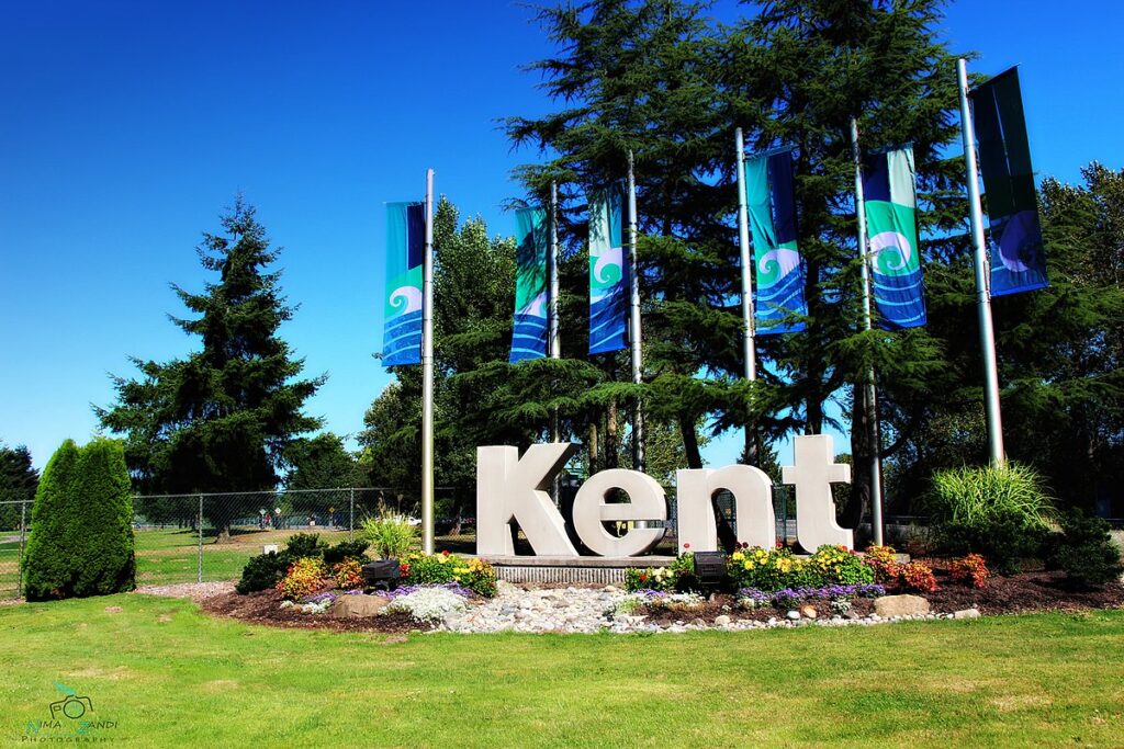 Kent Total Loss Appraiser